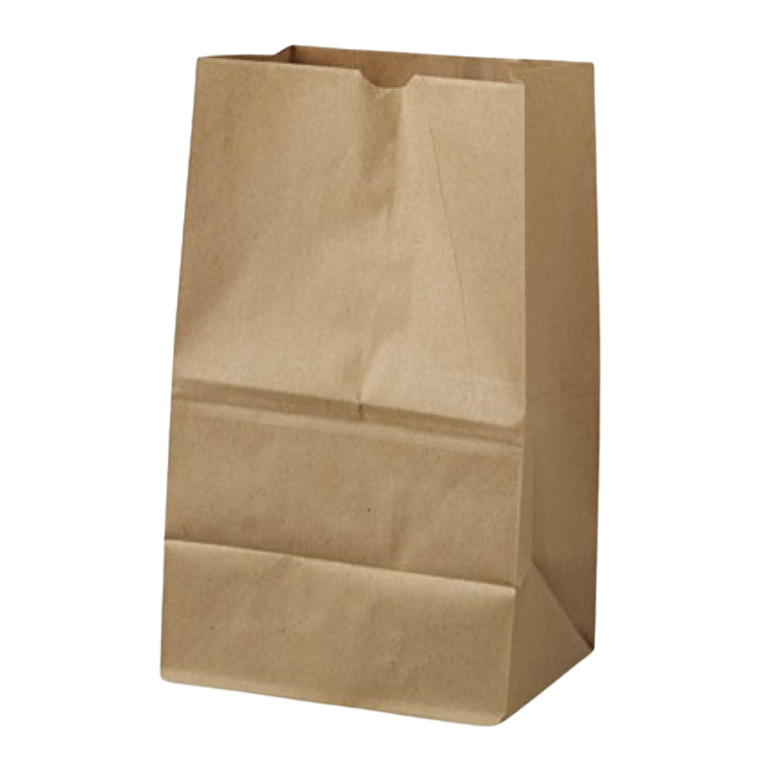 BAG PAPER KRAFT #20 muestra-LO-FP-SOS20K