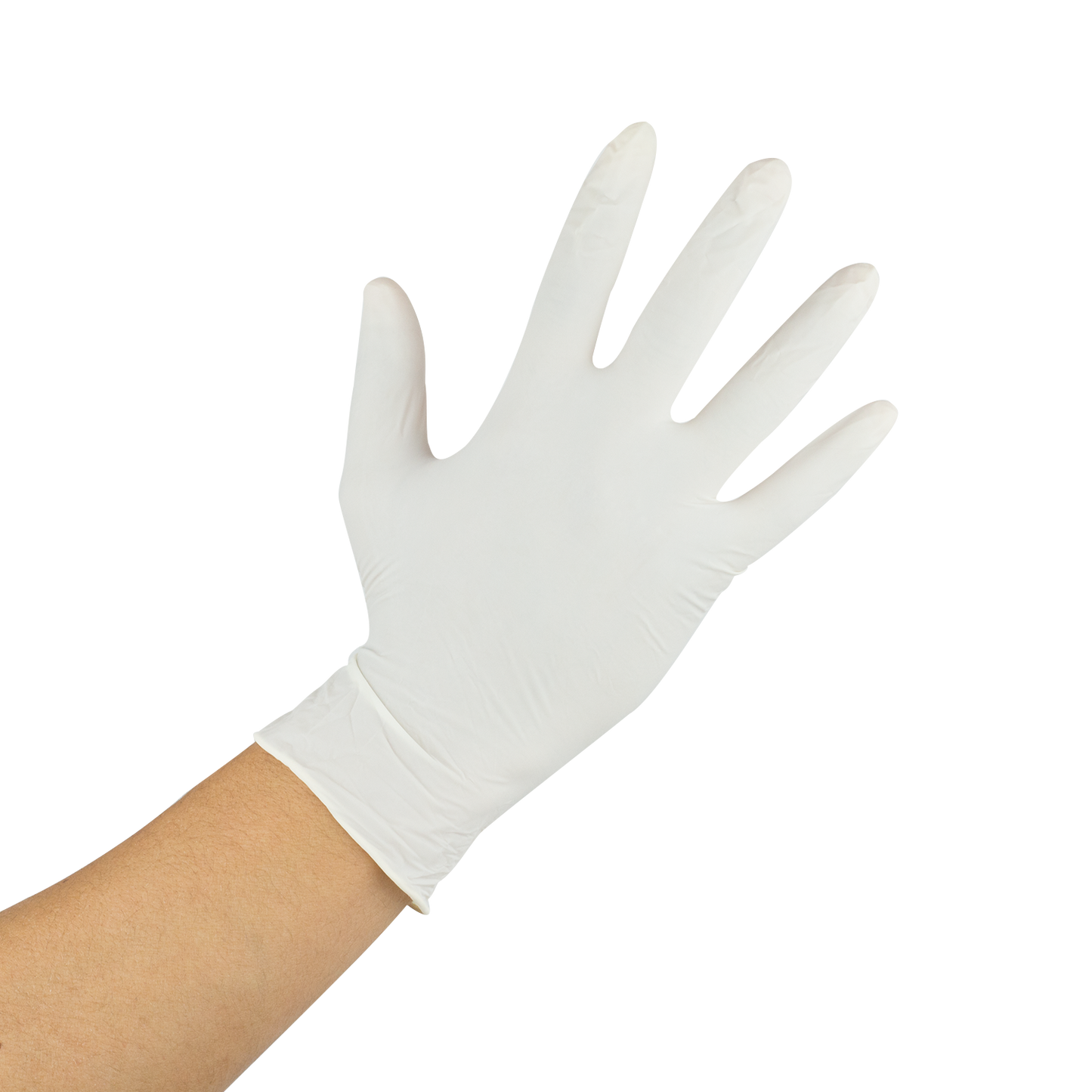 GLOVES LATEX L OAK-LG-1294T