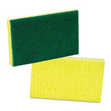 SCOURING PAD GREEN & YELLOW OAK-ES-744832 TX