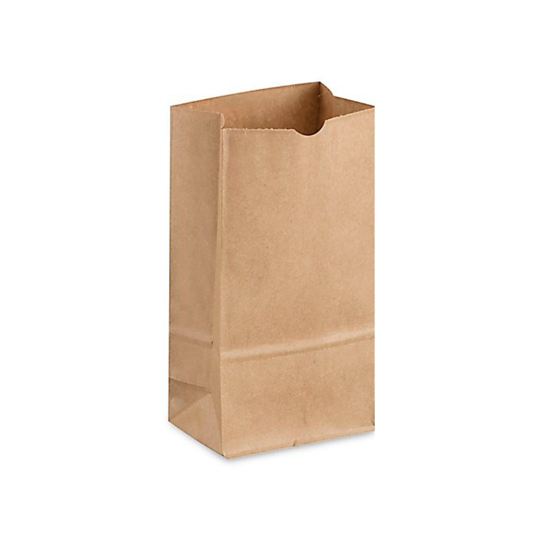 BAG PAPER KRAFT #2 muestra-BU-C5063